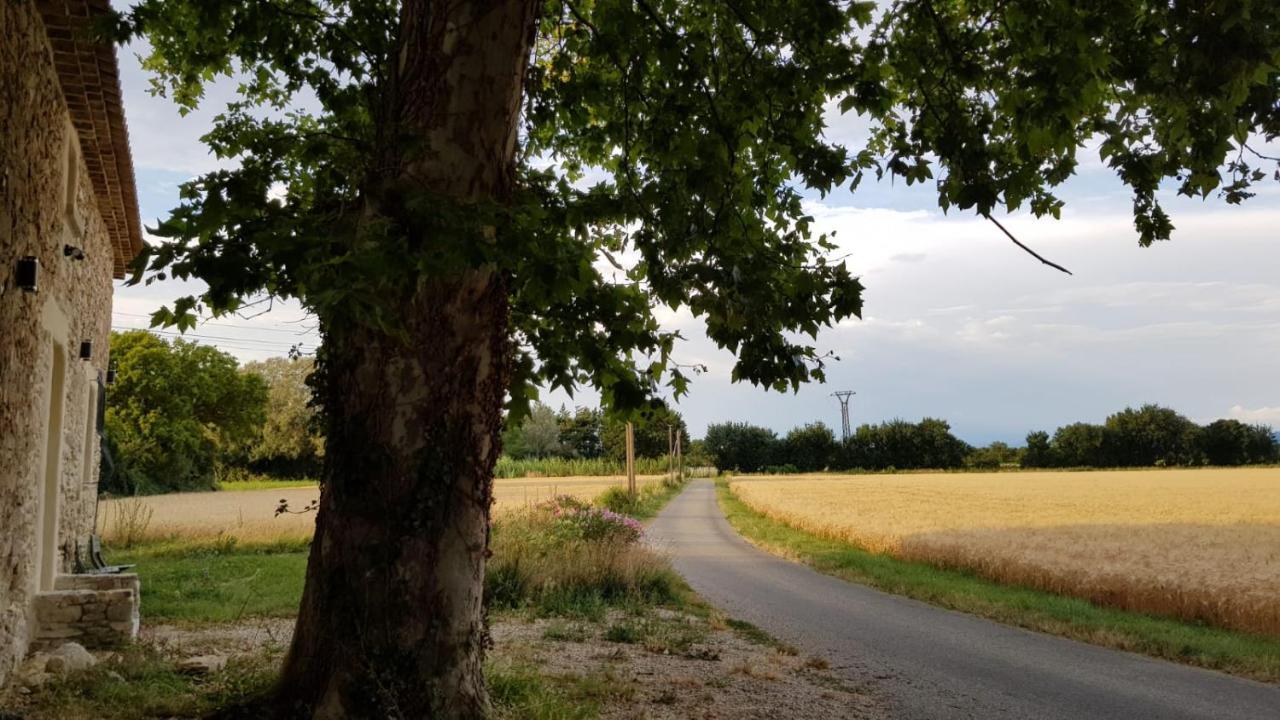 Maison Au Calme En Campagne Climatisee Caderousse Eksteriør bilde