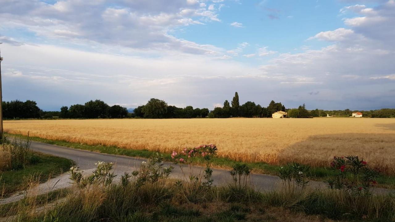 Maison Au Calme En Campagne Climatisee Caderousse Eksteriør bilde